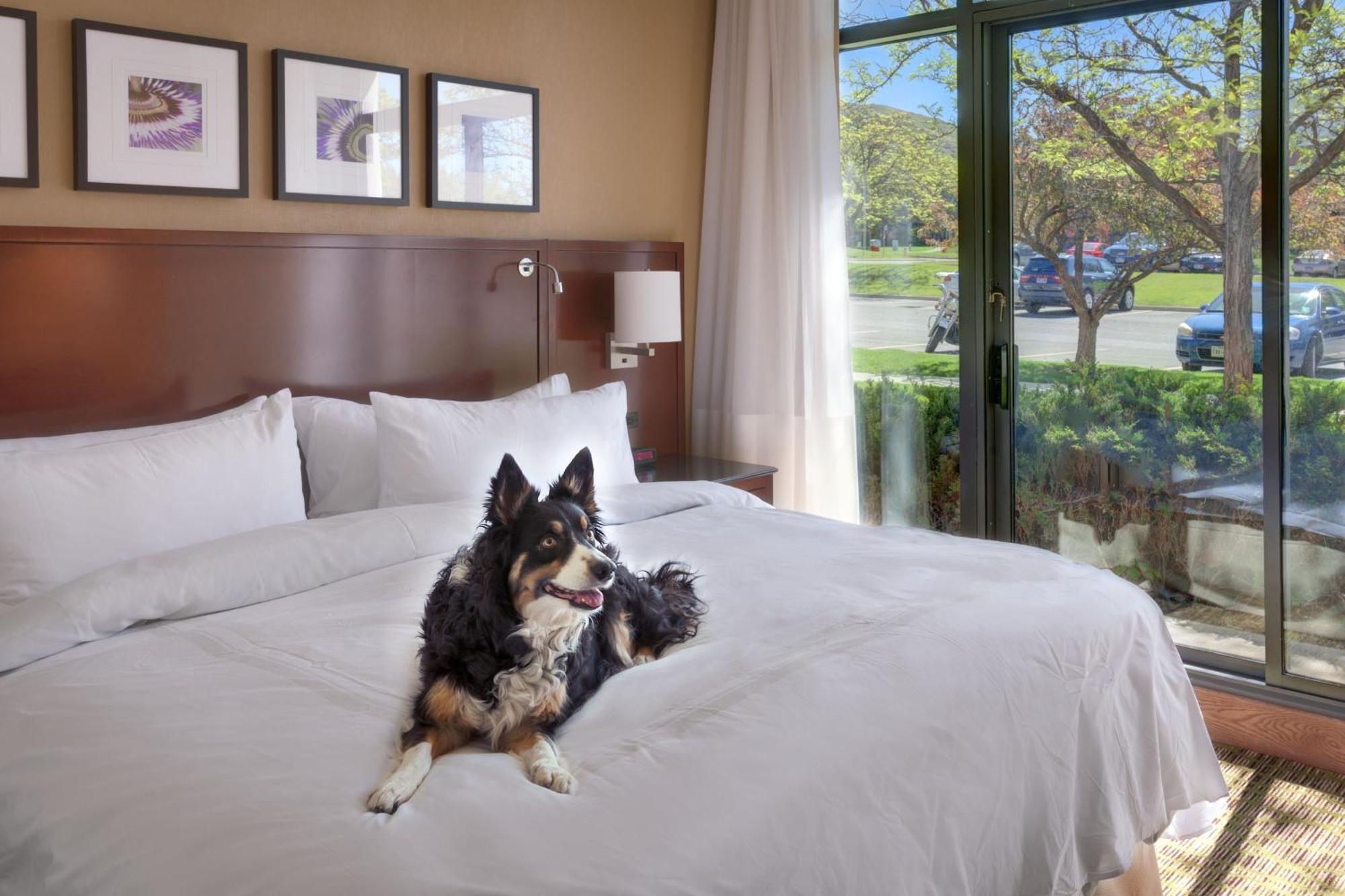 Salt Lake City Marriott University Park Εξωτερικό φωτογραφία